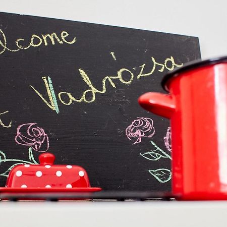 Penzion Vadrozsa Vendeghaz Rácalmás Exteriér fotografie