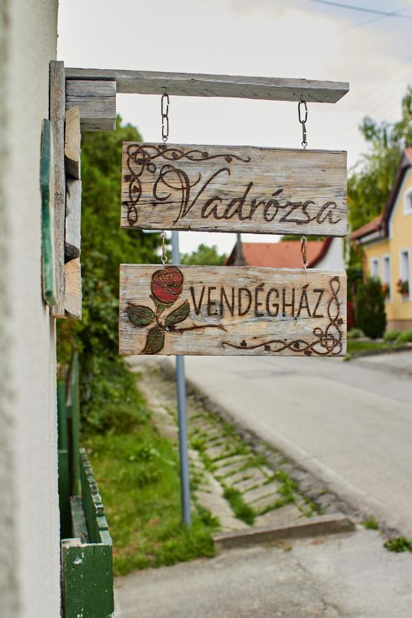 Penzion Vadrozsa Vendeghaz Rácalmás Exteriér fotografie